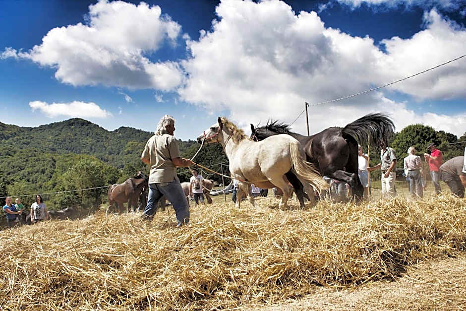 Masseria Monte Pizzi