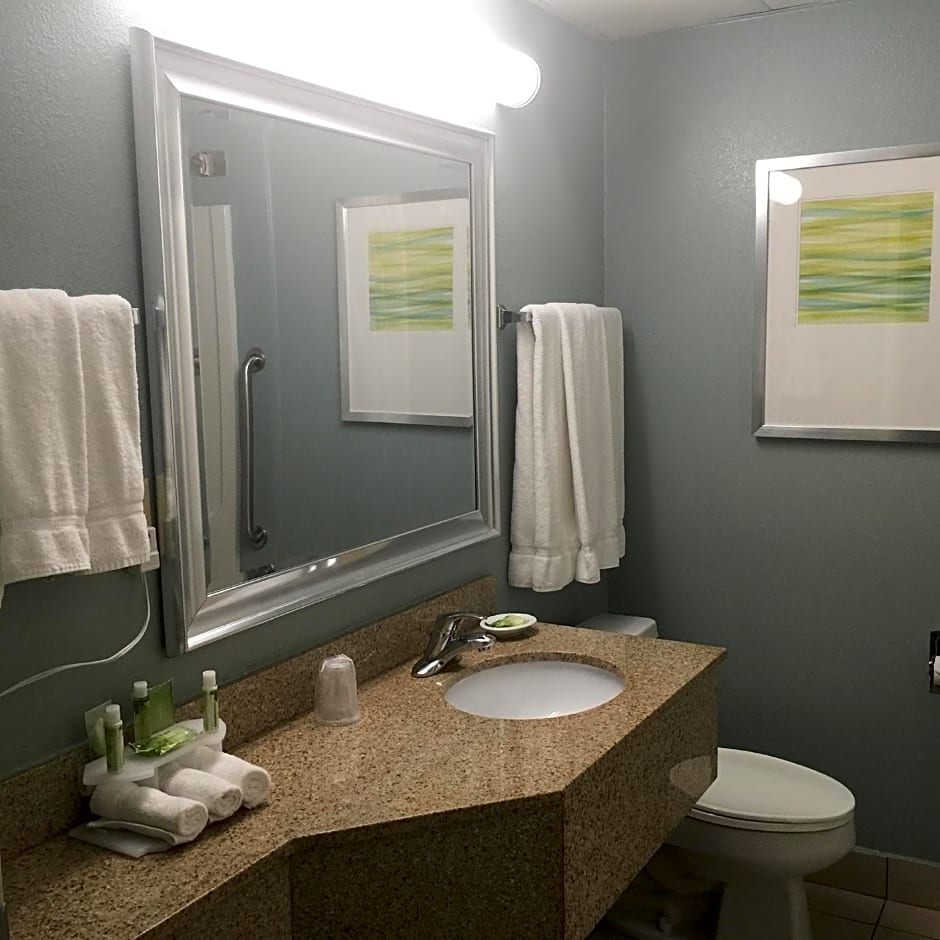 Baymont Inn & Suites Braselton
