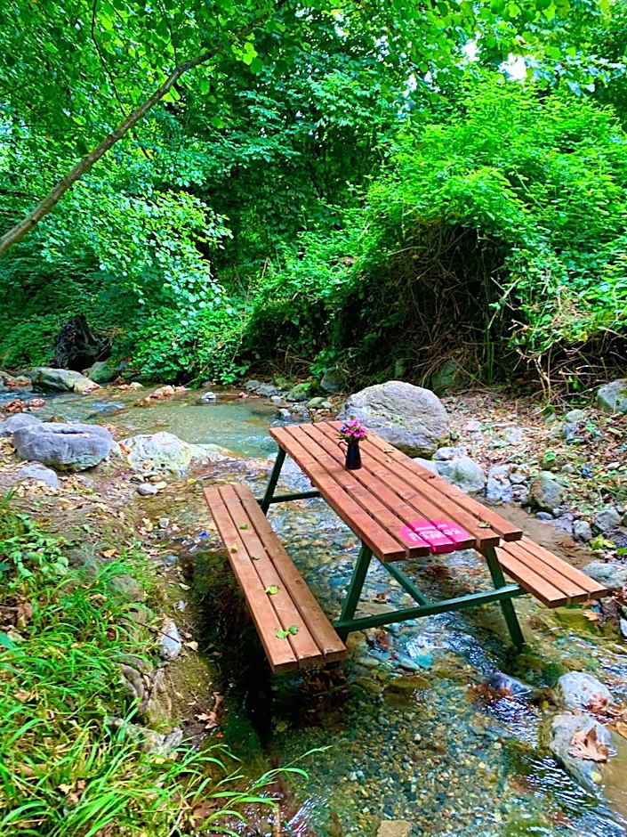 Kadifeli Konak Hotel & Bungalow