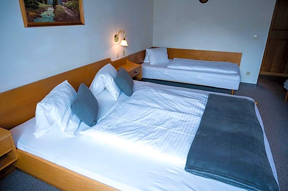 Landhaus-Pension Pattis