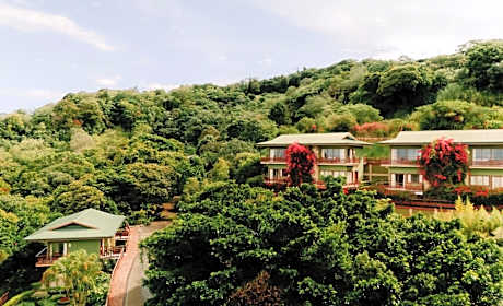 Ficus Sunset Suites