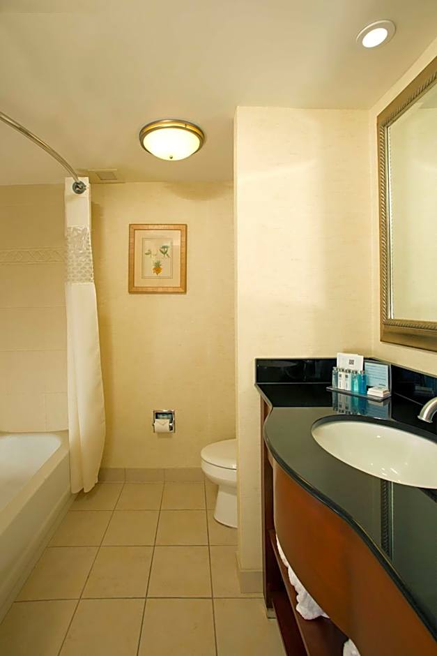 Hampton Inn By Hilton Alexandria-Pentagon South VA