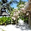 Paradise Beach Bungalows