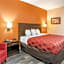Econo Lodge Inn & Suites Granite City