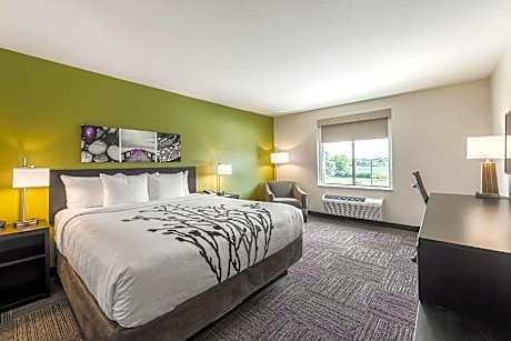 1 King Bed, Nonsmoking