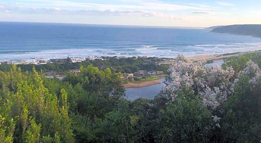 Forest Hill Wilderness