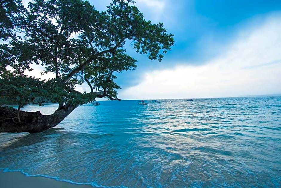 Mentawai Ebay Playground Surfcamp