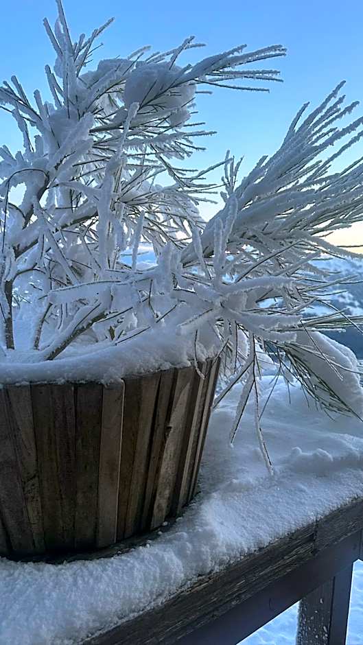 Hocheckhuette On Top of the Kitzbuehel Hahnenkamm Mountain