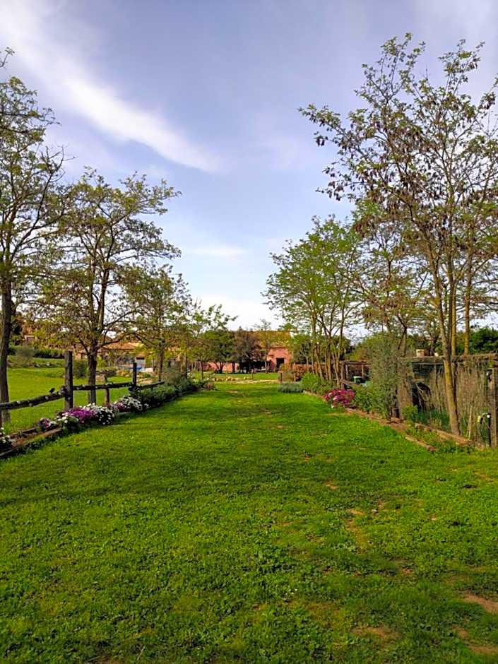 Mas Del Llop Blanc - Dog friendly Hostal Rural - B&B