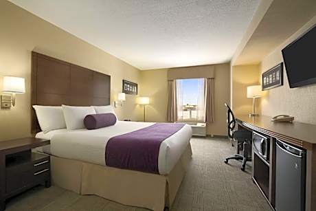 King Suite with Sofa Bed- Non-Smoking