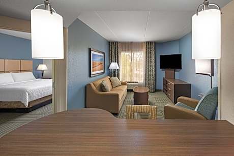 1 King Bed 1 Bedroom Suite