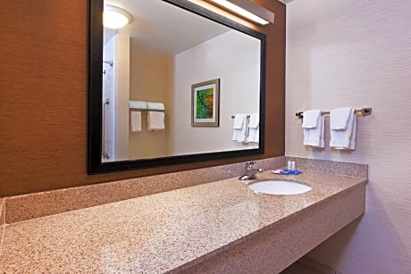 Studio Suite, 1 King Bed with Sofa bed (1 King Bed and 1 Double Sofa Bed)