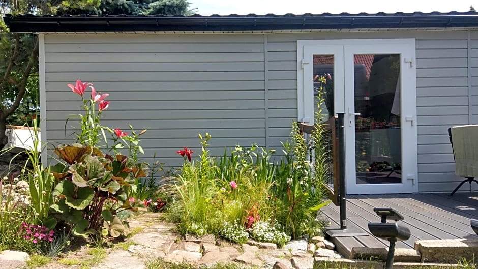 Kamień Bałtyku Domki