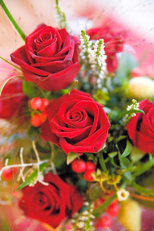 Hotel-Restaurant Straussen