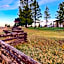 Bryce Canyon Pines