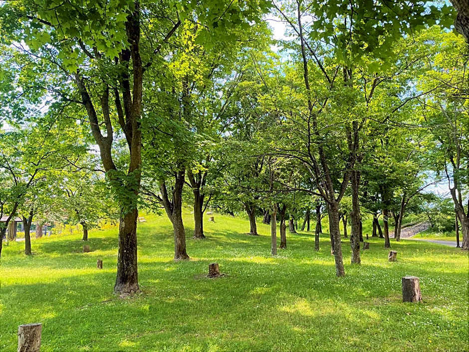 Hotel Amanek Asahikawa