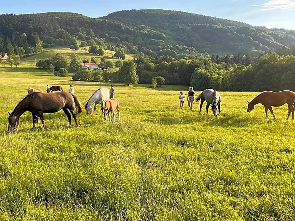 Rancho Panderoza