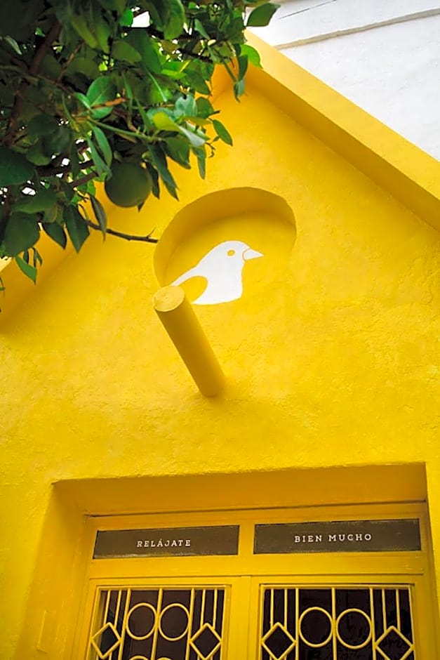 Casa Canario Hostel