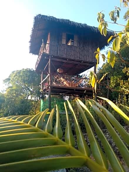 Sanctuaria Treehouses Busuanga