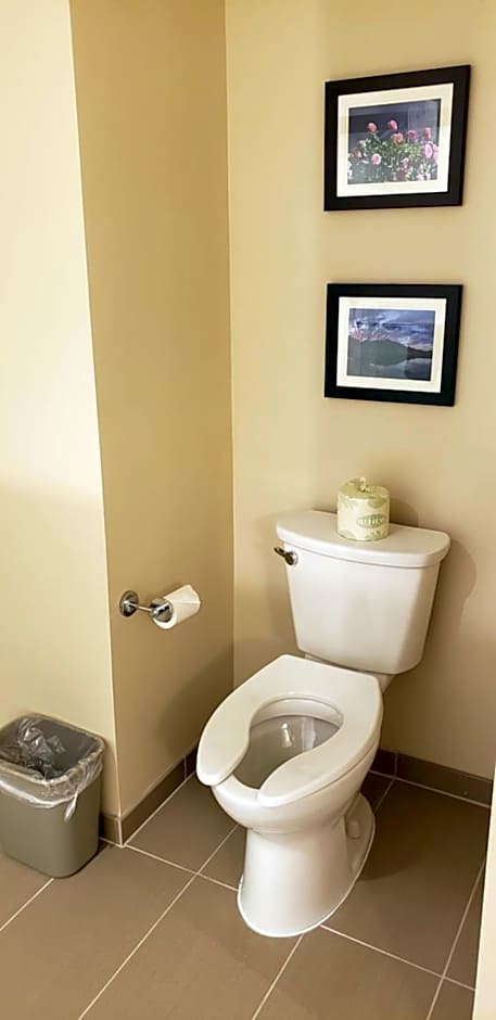 Comfort Suites Denver near Anschutz Medical Campus