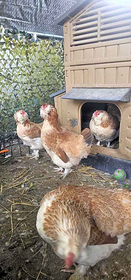 Best Area Close to Leeds Centre