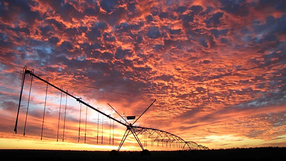 Chinchilla White Gums Motor Inn