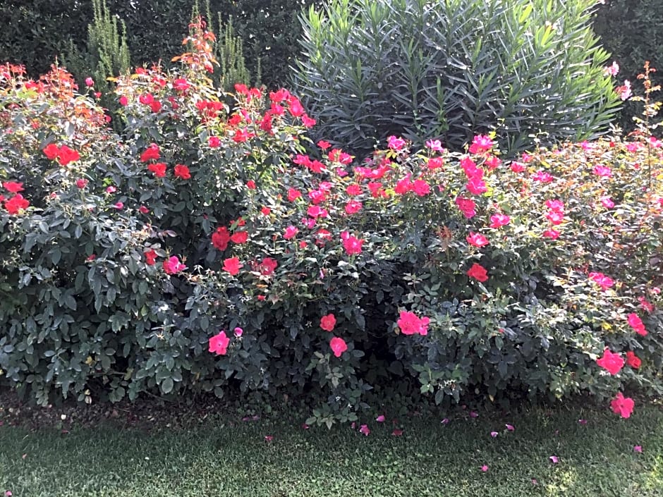 La Pergola B&B
