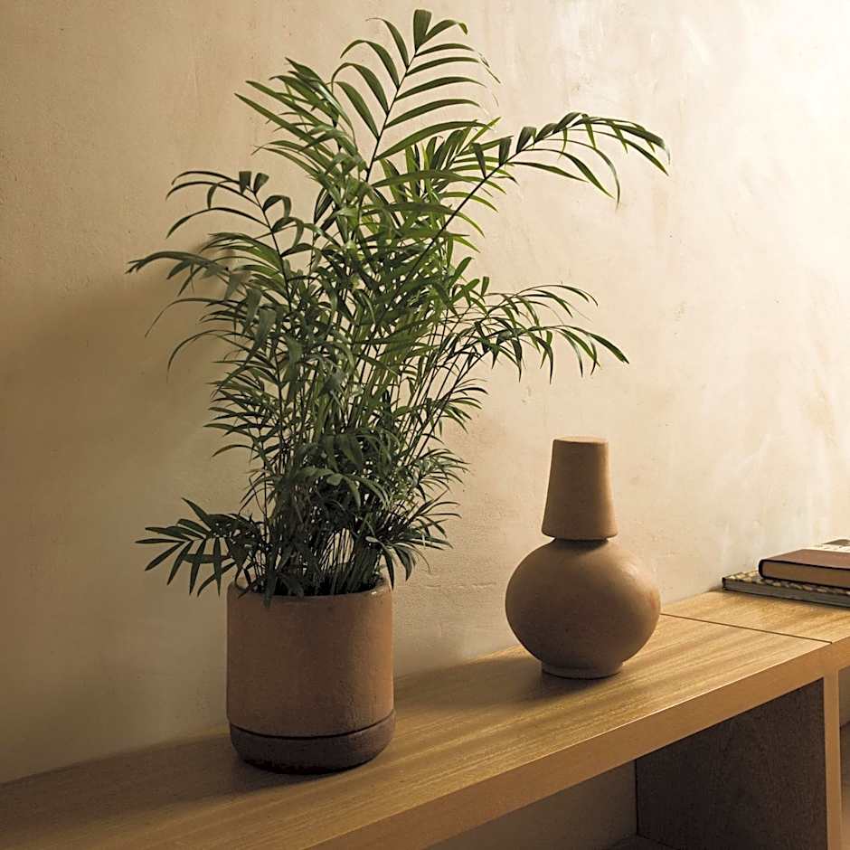 Casa Montore by Barrio Mexico