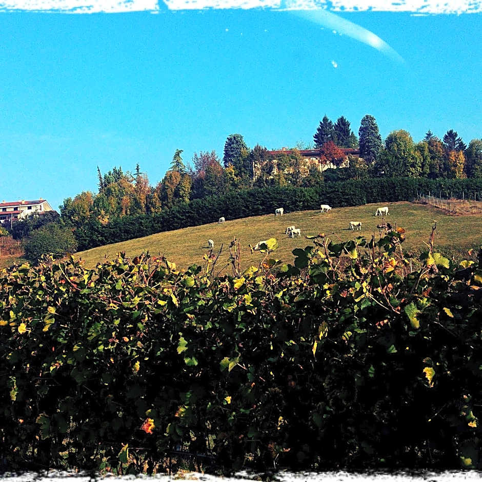 Locanda del Boscogrande