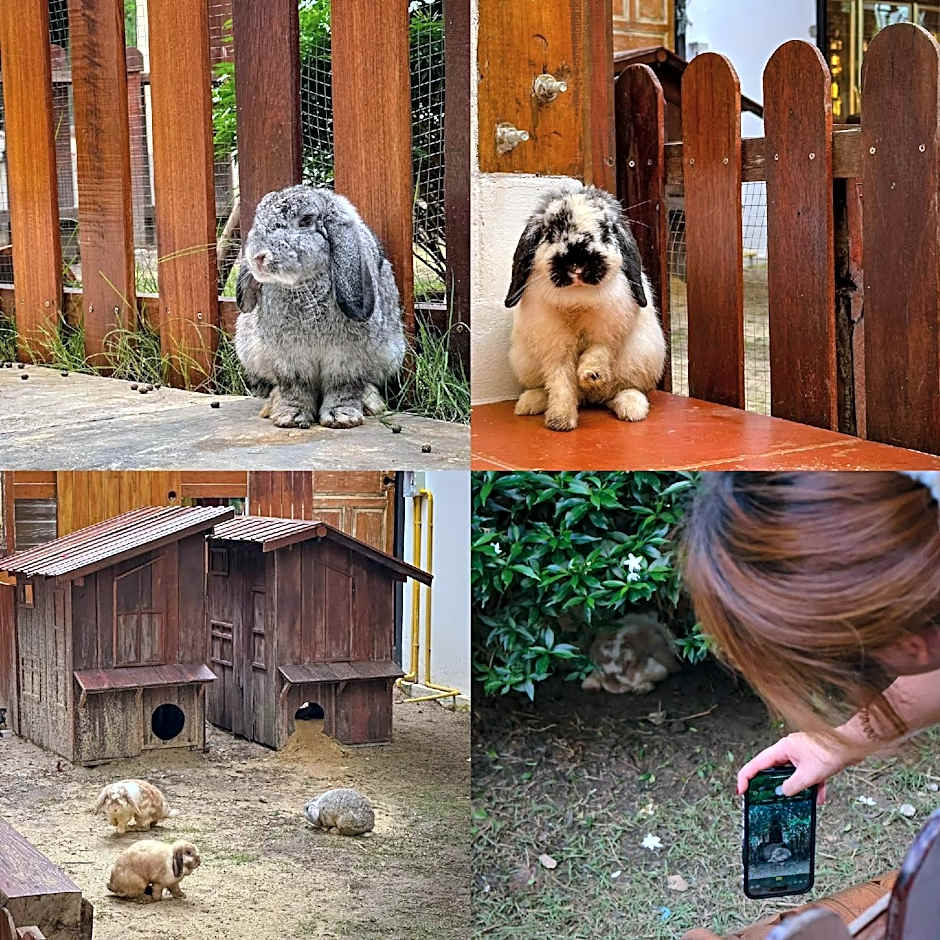 Baanrongmai Canal Front Cafe & Homestay 