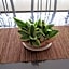 Touristlink Homestay