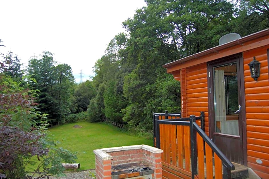 Luxury woodland Alder Lodge