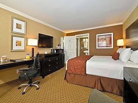 Executive Suite Sea View