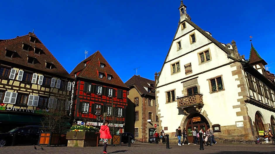 VVF Plaine d'Alsace Obernai Strasbourg