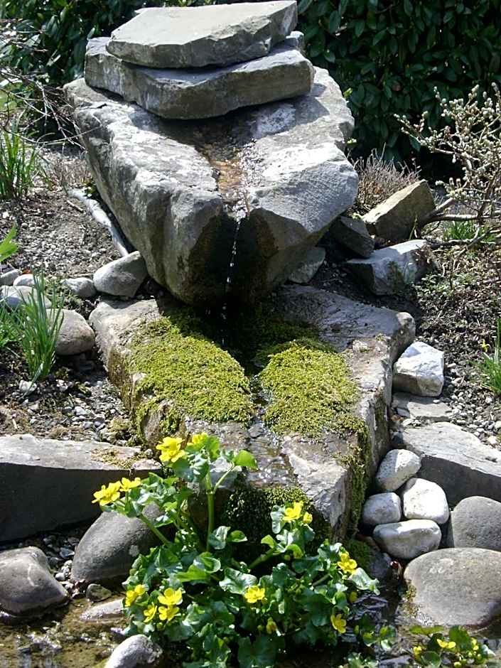 Burgbühl