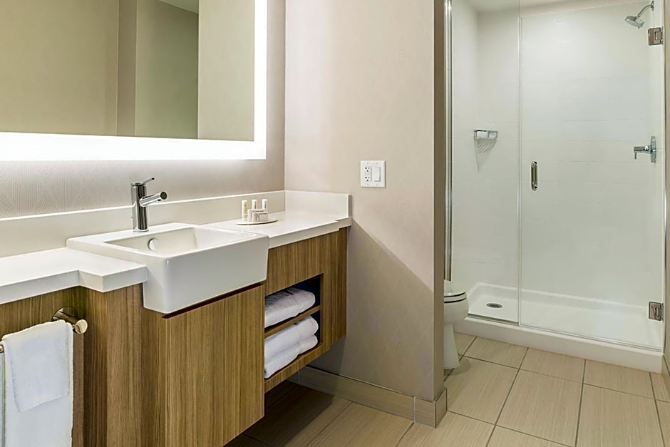 SpringHill Suites by Marriott St. Paul Downtown