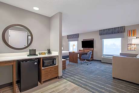1 King Bed Studio Suite W/Sofabed Nonsmoking