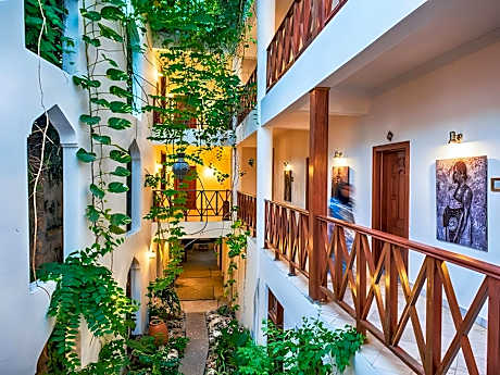 Junior Suite Terrace