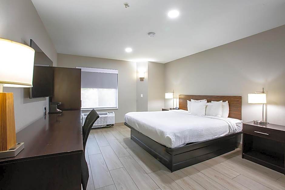 Photo 1 of 7 of Standard 1 King Bed