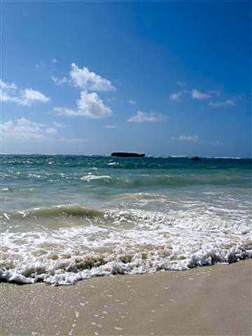 Turtle Bay Beach Club- All Inclusive