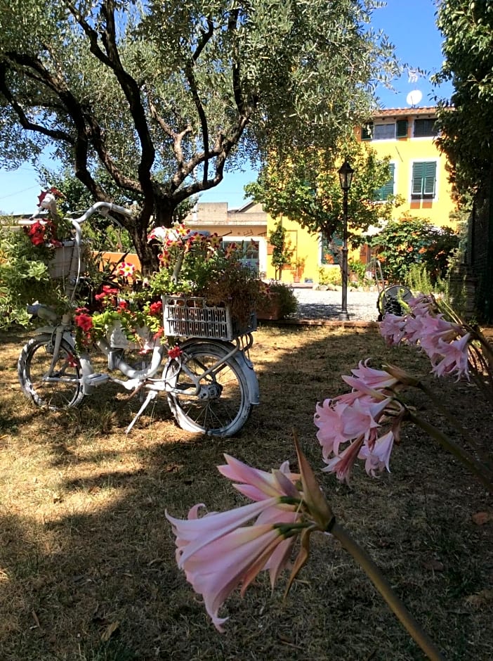 Bed & Breakfast Lucca Fora