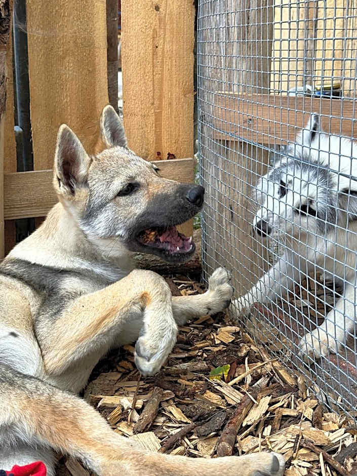 Rodinný Hotel Hubert High Tatras