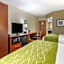 Comfort Inn Downtown Lookout Mountain Chattanooga