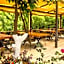 Orange Garden Hotel Akyaka