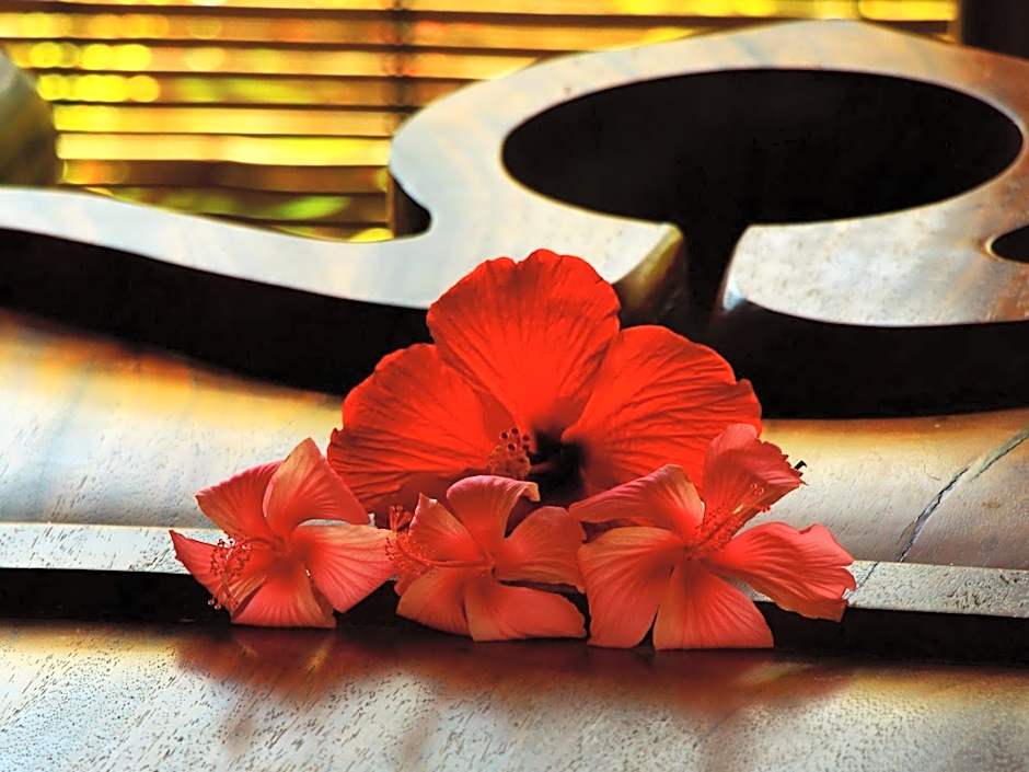 Orlowsky Discovery Candidasa Hotel