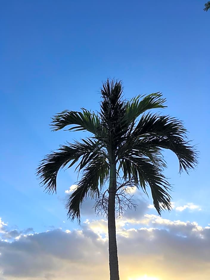 Y' RISE TO HOTEL Miyakojima