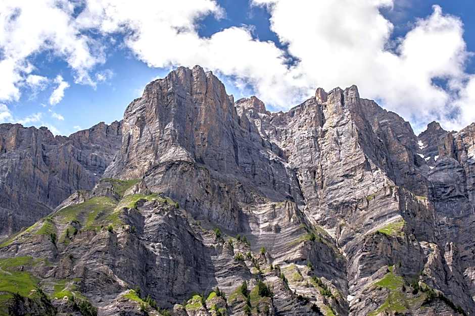 Hotel Restaurant Waldhaus