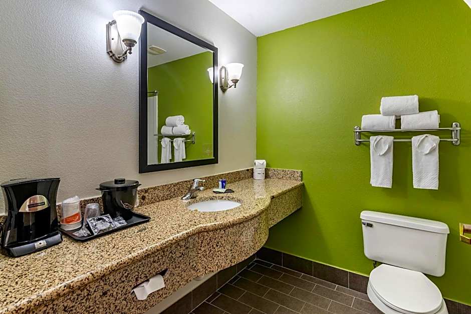 Sleep Inn & Suites Stockbridge Atlanta South