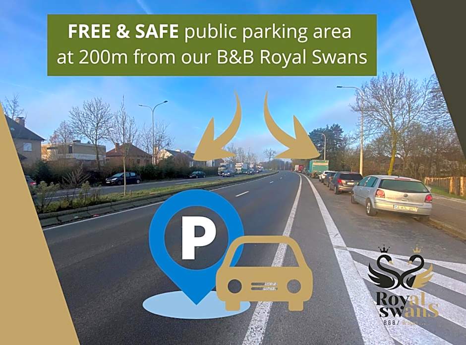 B&B Royal Swans