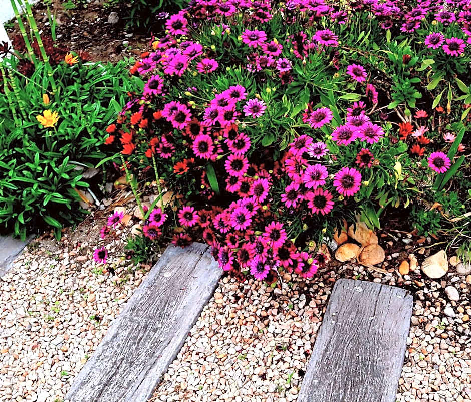 Forestview guesthouse and B&B